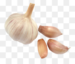 bawang merah unduh gratis bawang merah sayur iris bawang merah gambar png iris bawang merah gambar png