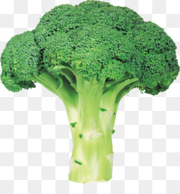 Brokoli Unduh Gratis Brokoli Sayuran Kembang Kol Kubis Brokoli Png Gambar Gambar Png