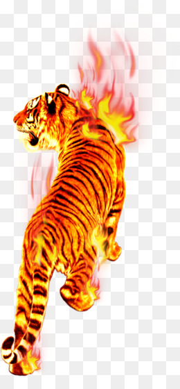 Harimau unduh gratis Siberian Tiger Clip art Harimau 