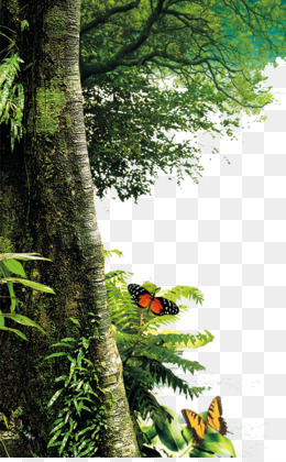 Featured image of post Background Hutan Png Are you searching for hutan png images or vector