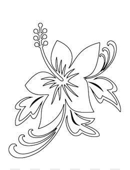 Bunga Yang Berbeda Unduh Gratis Gambar Bunga Sketsa Pensil