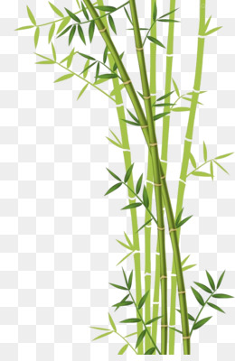 Bingkai Bambu unduh gratis - Bambu vektor Euclidean 