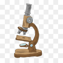 jurnal internasional mikroskop