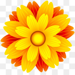 Bunga Daisy Daisy Png unduh gratis Umum bunga matahari Wallpaper 