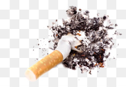 rokok unduh gratis rokok clip art set rokok gambar png set rokok gambar png