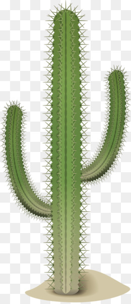 Cactaceae EMOJI Pabrik gambar  png