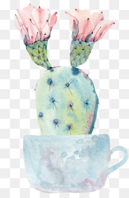  Kaktus  unduh gratis Pot bunga  Cactaceae lukisan Cat air 