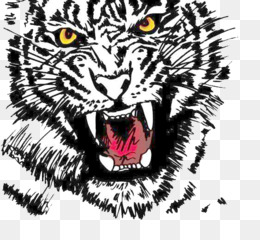 Harimau unduh gratis Siberian Tiger Clip art Harimau 