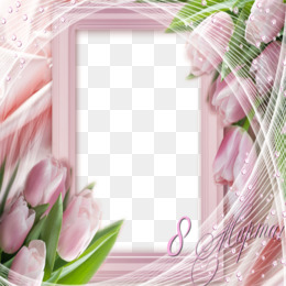 Pink, Bingkai Foto, Euclidean Vektor gambar png