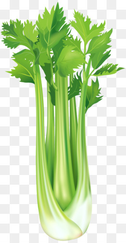 Celeriac Daun seledri Organik Sayuran makanan Kesehatan - Sayuran