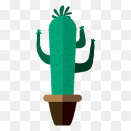 Cactaceae Gambar  Square gambar  png