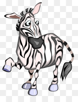 Kartun Zebra Animasi  gambar  png