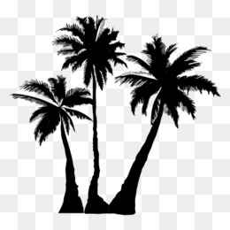 palm unduh gratis - arecaceae gambar pohon kartun clip art