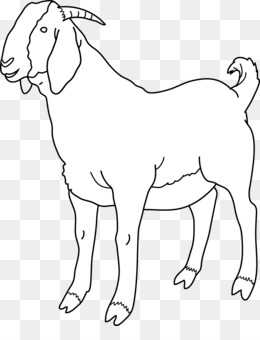 kambing clipart