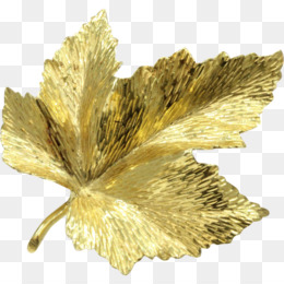  Daun Emas  unduh gratis Laurel karangan bunga Emas  Bay 