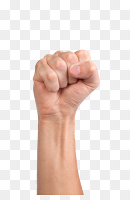 Mengangkat Kepalan Tangan  unduh gratis Protes Komputer 