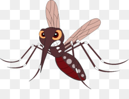 Nyamuk  Serangga Vektor gambar png
