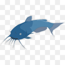 ikan lele unduh gratis ikan lele stock photography royalty free hd ikan laut gambar png ikan lele unduh gratis ikan lele