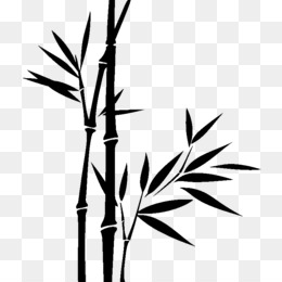  Bambu  Siluet  Pohon  gambar png