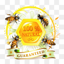  Lebah  Madu Sarang Lebah  Lebah  gambar png