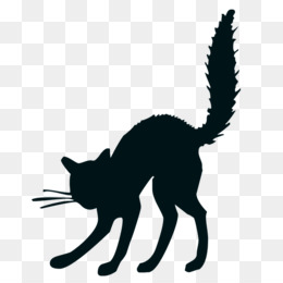Kucing Png unduh gratis - Wildcat Kaki Anjing Clip art - kaki 