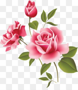 Gambar Bunga Mawar Kartun Gambar Bunga Mawar