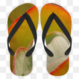 Flipflops Sandal Sepatu  gambar  png