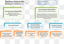 Trauma Model Dari Gangguan Mental Unduh Gratis - Disosiasi Gangguan ...