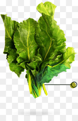 Sayuran Daun  Sayuran Collard Hijau gambar  png