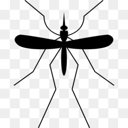  Nyamuk  Semut Pengendalian Nyamuk  gambar png
