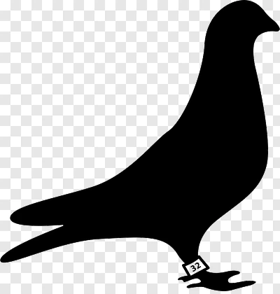 Columbidae Rock merpati Homing pigeon - Merpati Hewan unduh gratis ...