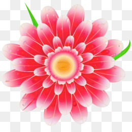  Daisy  Png unduh gratis Umum bunga  matahari Wallpaper  