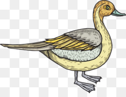 Bebek Vektor Unduh Gratis Bebek Kuning Clip Art Kecil Kuning Bebek Vektor Gambar Png