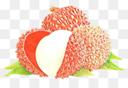  Rambutan  unduh gratis Rambutan  Nephelium chryseum Buah  