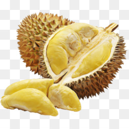 Durian unduh gratis Durian Rasa Makanan Buah  Clip art 