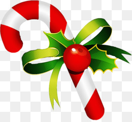 gambar daun teh vektor  Daun  Natal Mistletoe gambar  png