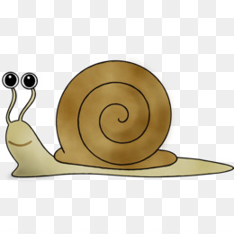 Gastropoda gambar png