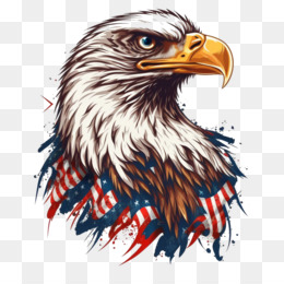 American Eagle Head Transparent PNG Clip Art Image